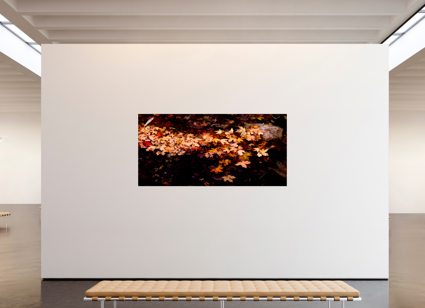 88.5 x 43″, Photo Print On Fuji Crystal DP II Autumn Leaves