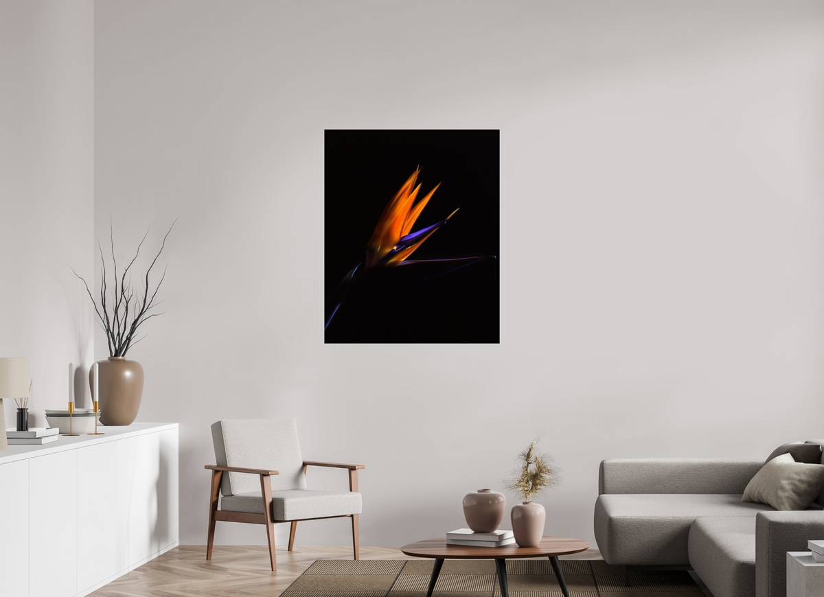 35 x 42.8″, Photo Print On Fuji Crystal DP II Bird of Paradise