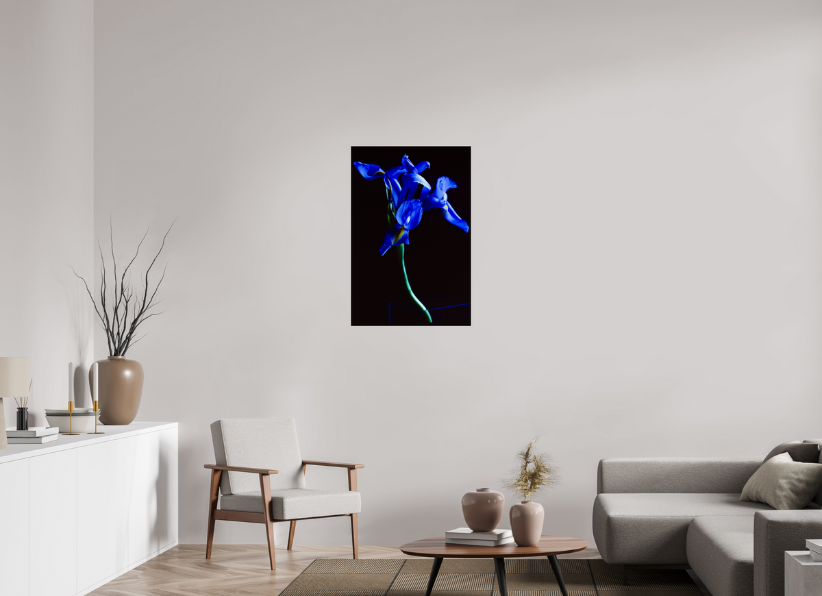 24 x 36″, Photo Print On Fuji Crystal DP II Blue Iris single
