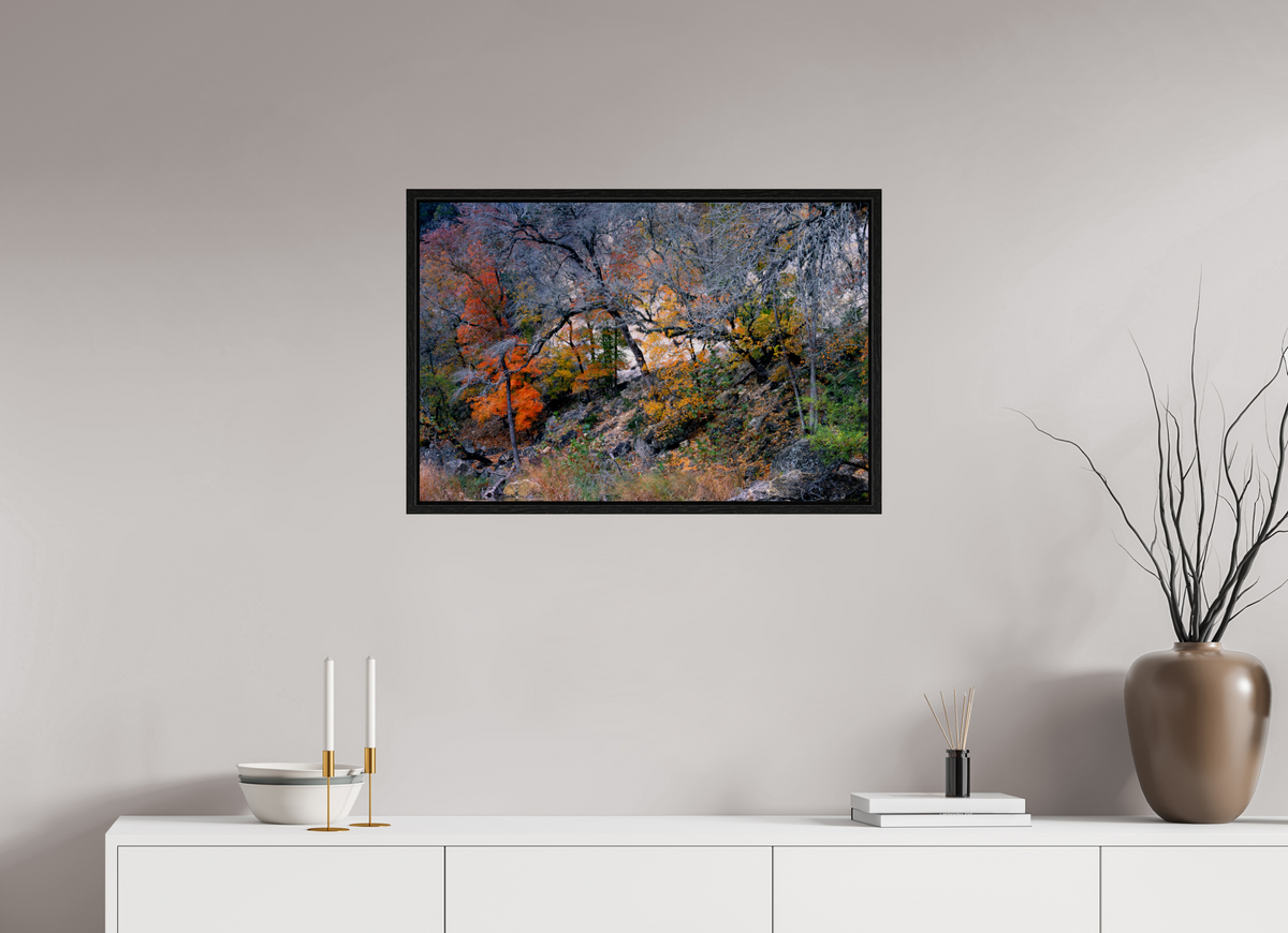 30 x 20″, Floater Frame Lost Maples