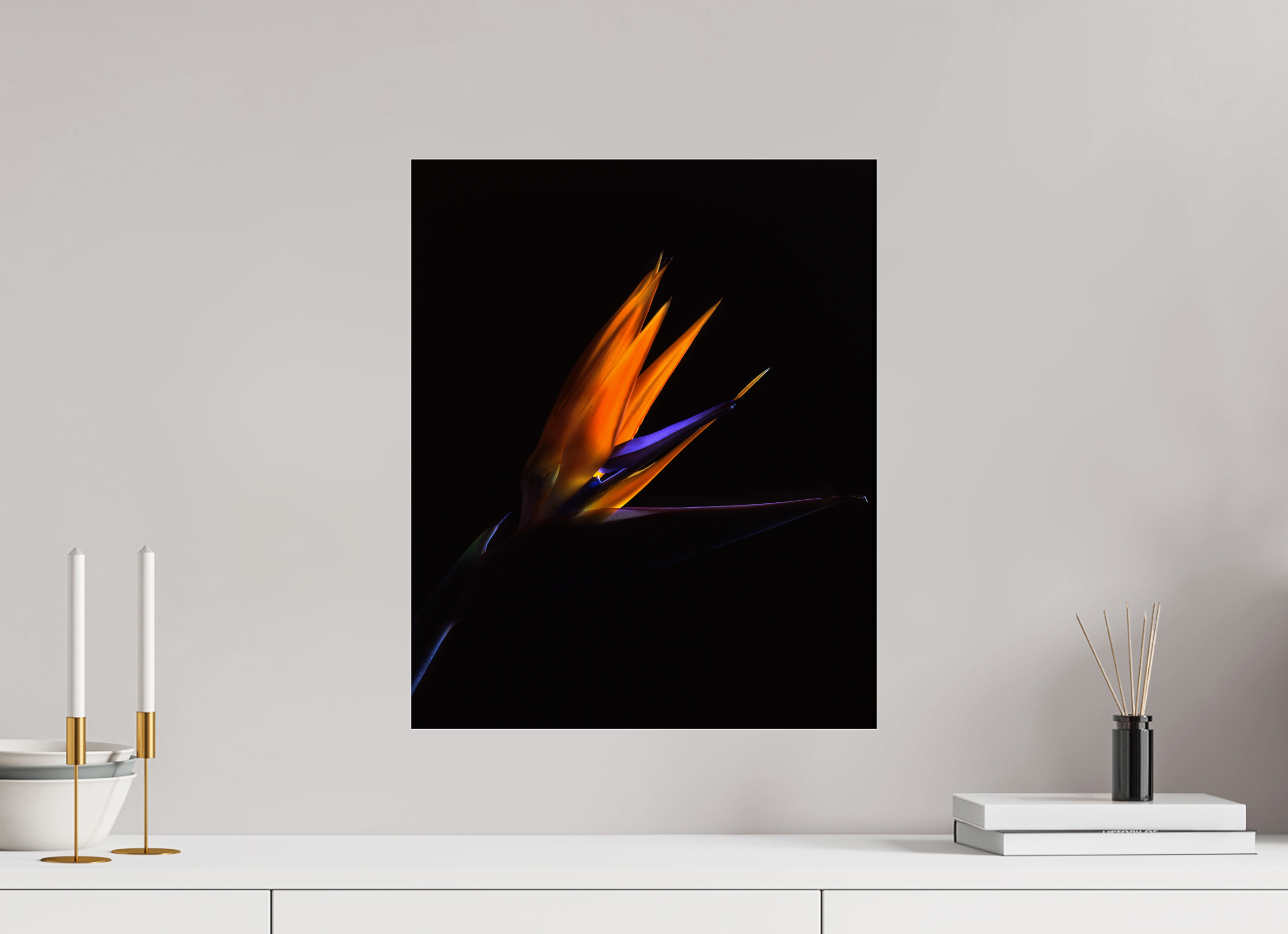 16 x 19.6″, Photo Print Under Acrylic Glass Bird of Paradise