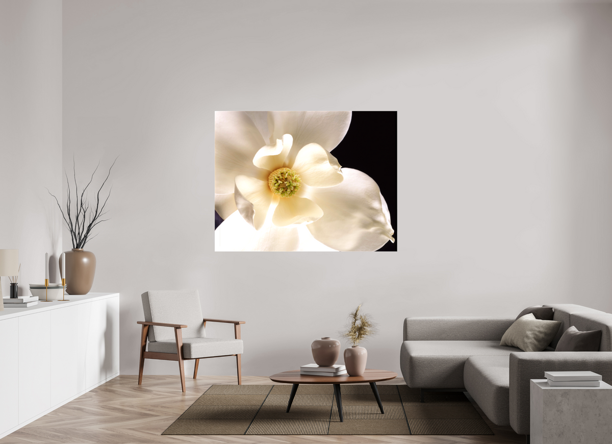 61.2 x 47″, Canvas Magnolia