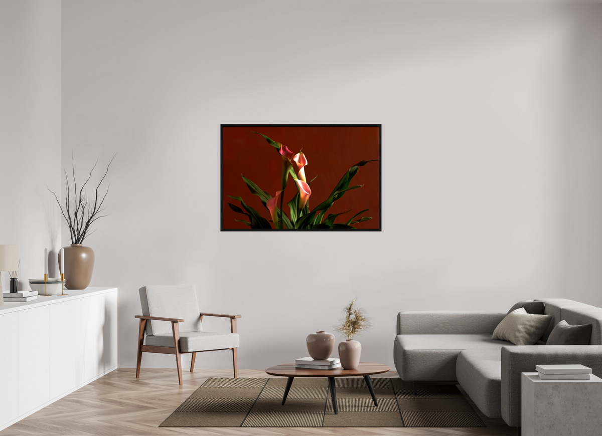 53.4 x 35″, Floater Frame A study in Peach