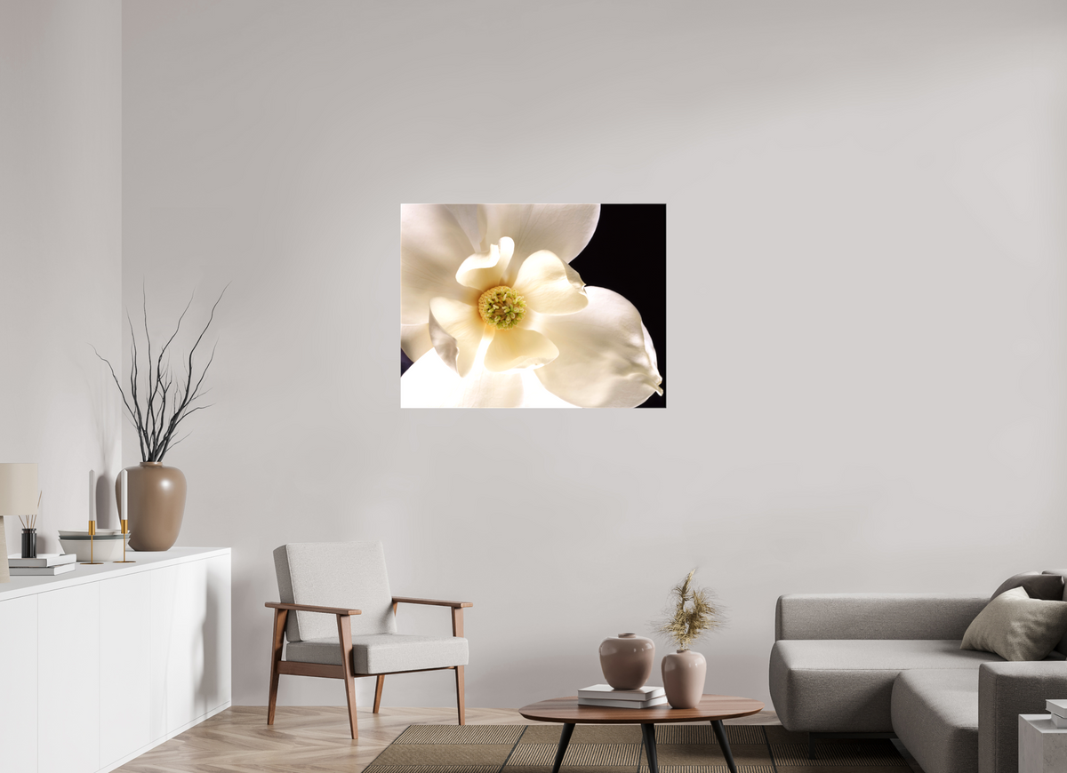 40.4 x 31″, Canvas Magnolia