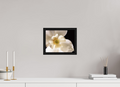 10.4 x 8″, Floater Frame Magnolia
