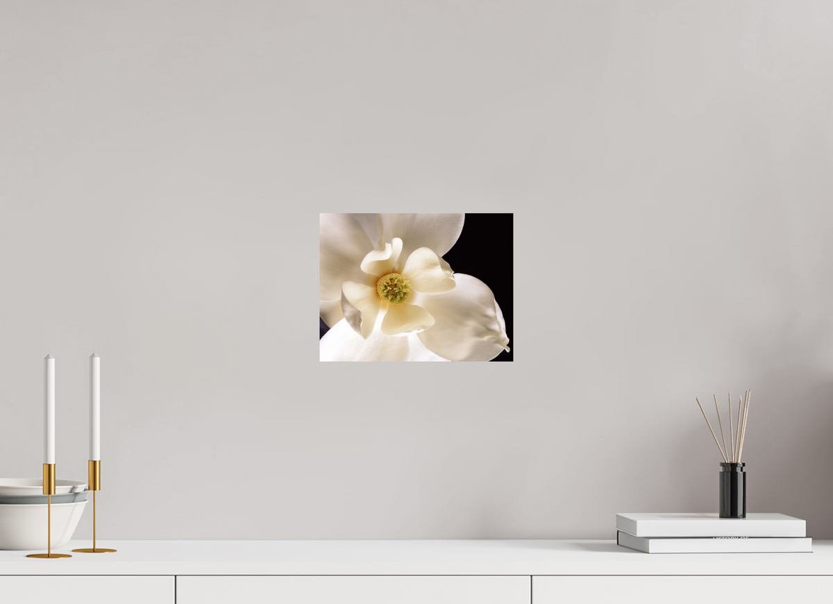 10.4 x 8″, Photo Print On Fuji Crystal DP II Magnolia