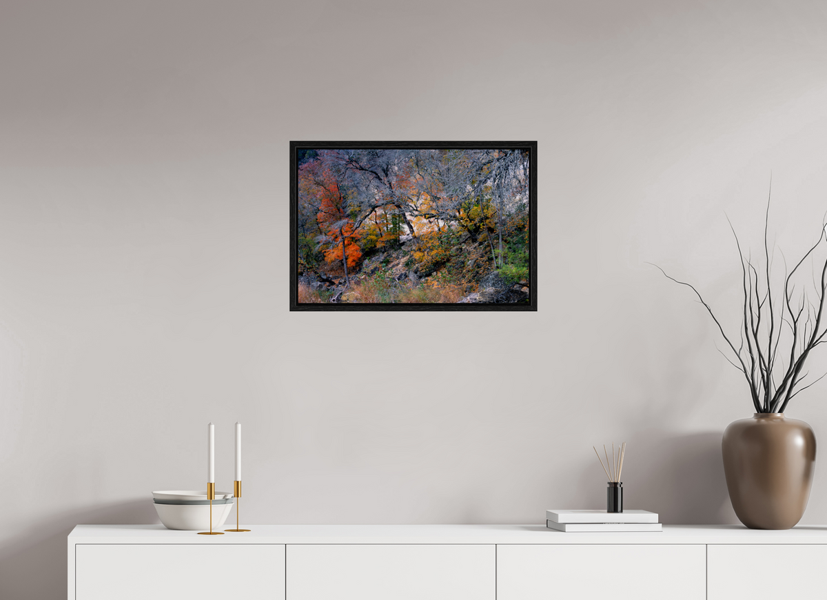 24 x 16″, Floater Frame Lost Maples