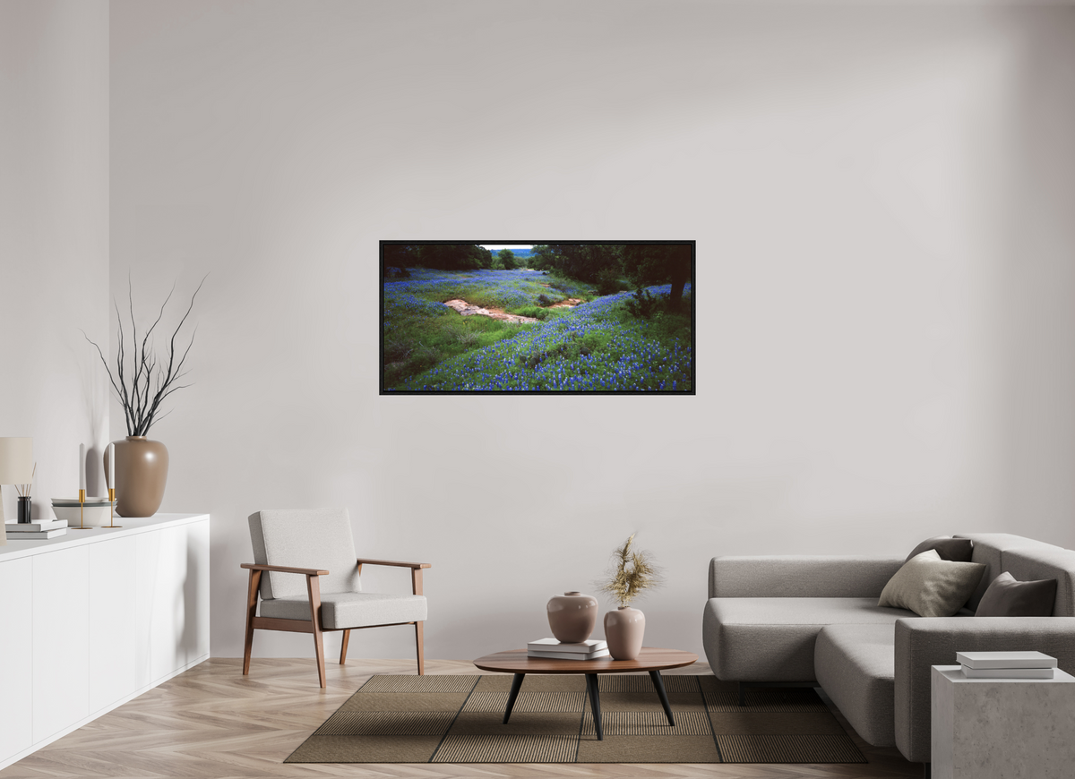 58.9 x 28″, Floater Frame Bluebonnet Field