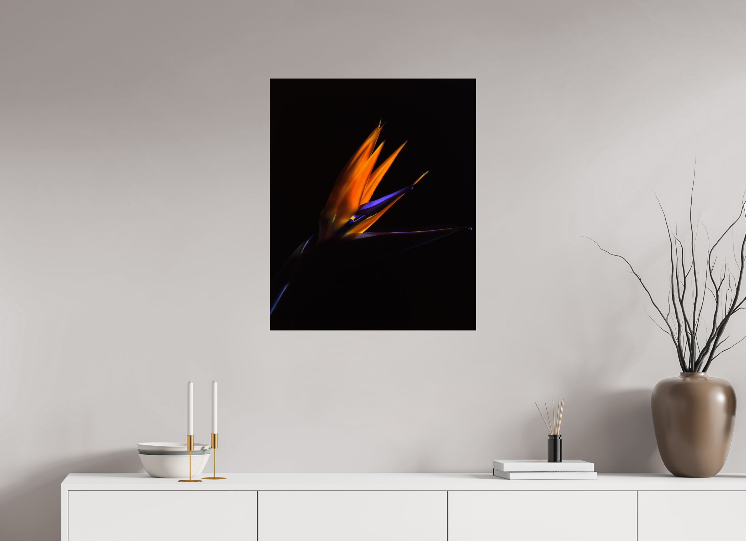 24 x 29.3″, Photo Print Under Acrylic Glass Bird of Paradise