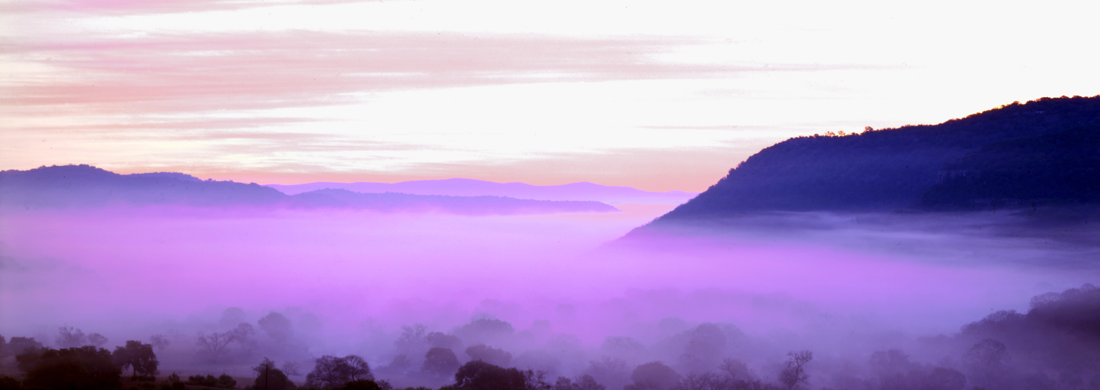 Foggy Morning