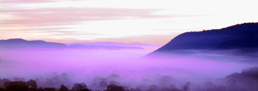 Foggy Morning