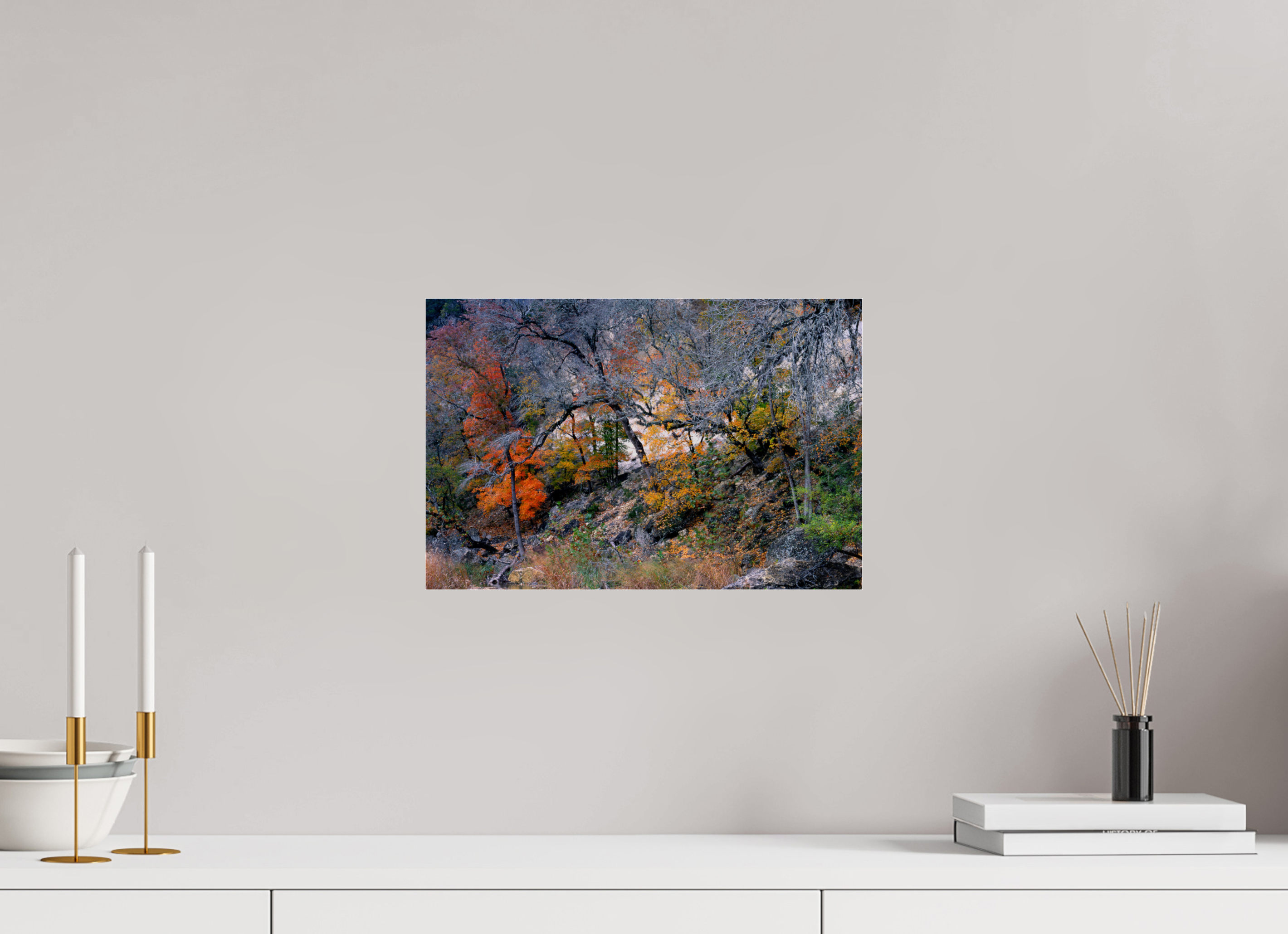 15 x 10″, Photo Print Under Acrylic Glass Lost Maples