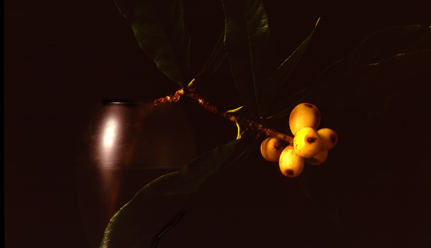 Japanese Plums