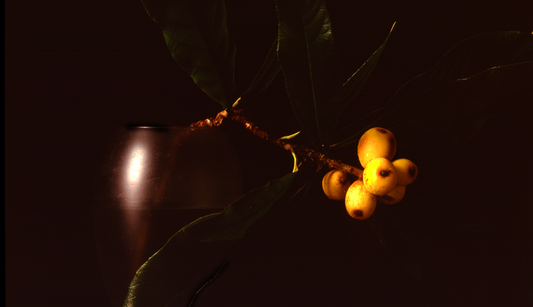 Japanese Plums