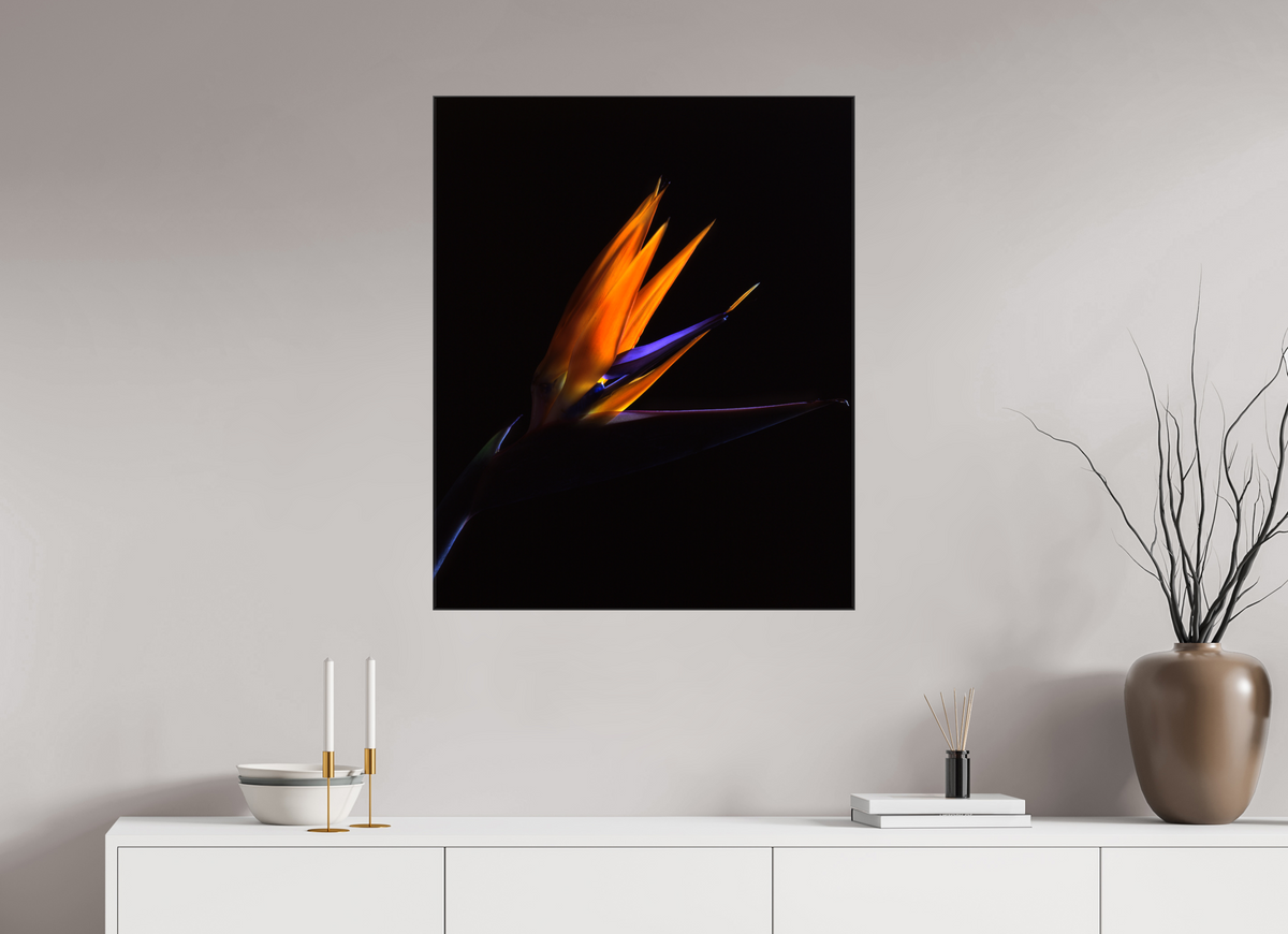 28 x 34.2″, Canvas Bird of Paradise