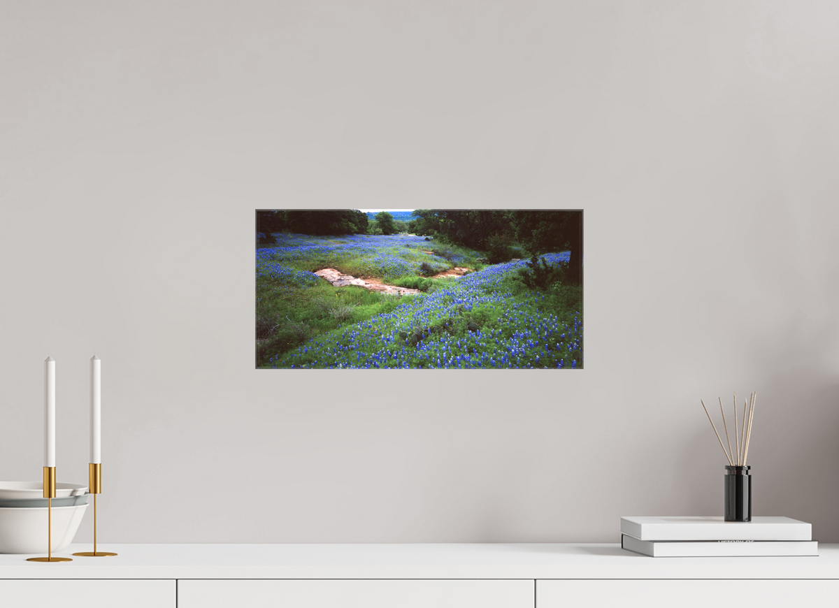 16.9 x 8″, Canvas Bluebonnet Field