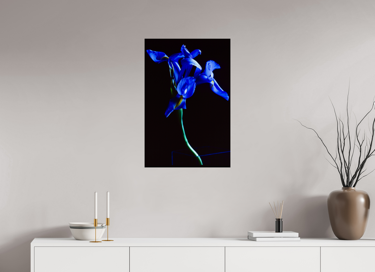 20 x 30″, Photo Print On Fuji Crystal DP II Blue Iris single