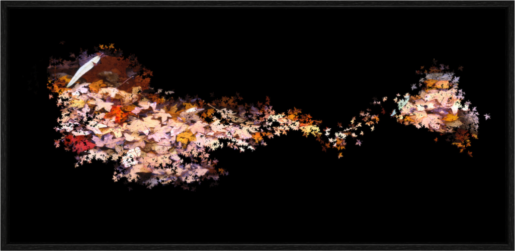 Main image Fall