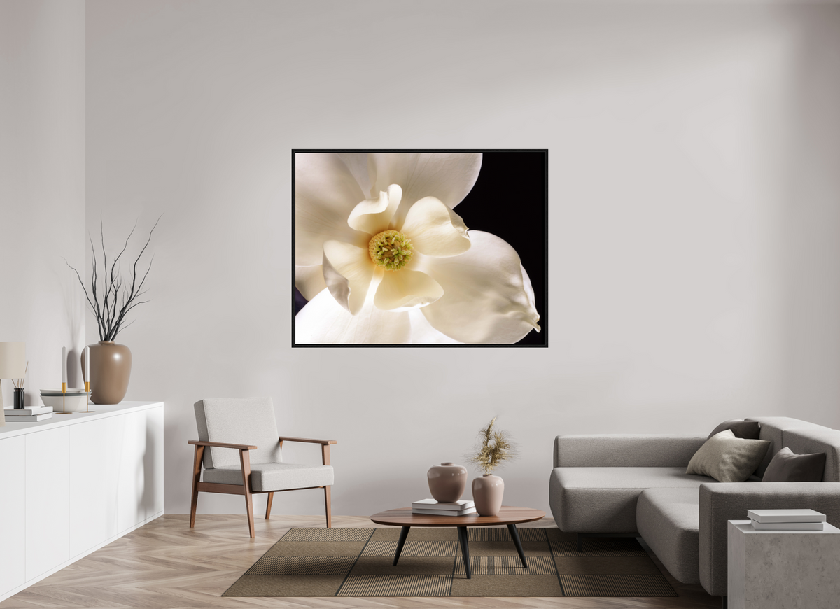 61.2 x 47″, Floater Frame Magnolia