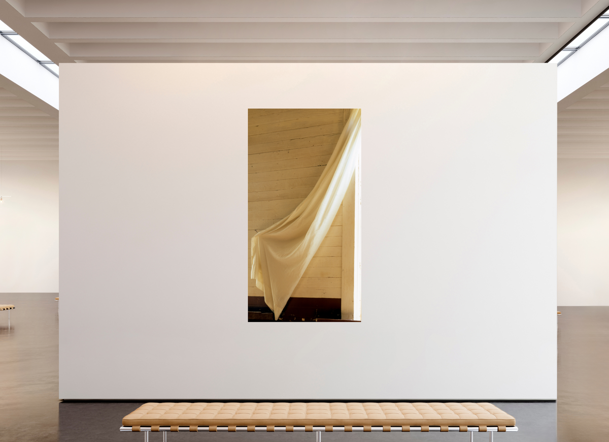 47 x 88.5″, Photo Print Under Acrylic Glass Sash