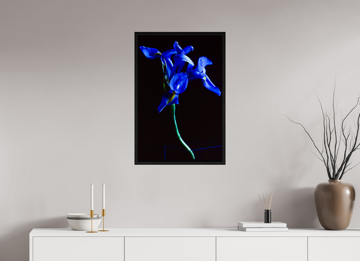 20 x 30″, Floater Frame Blue Iris single