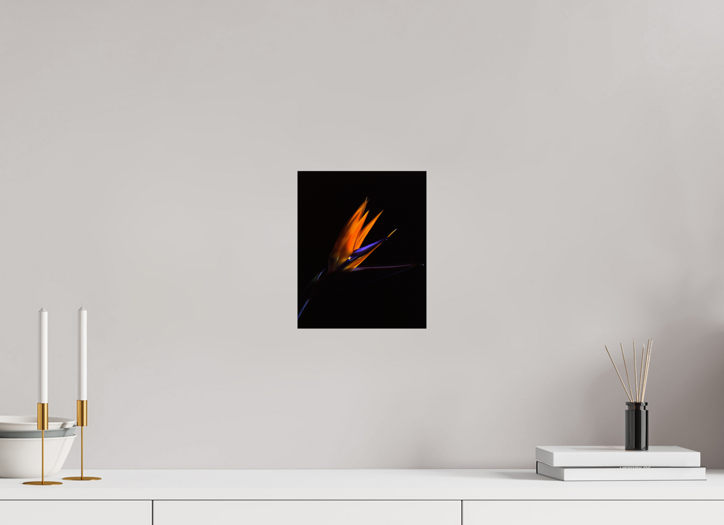 8 x 9.8″, Photo Print On Fuji Crystal DP II Bird of Paradise
