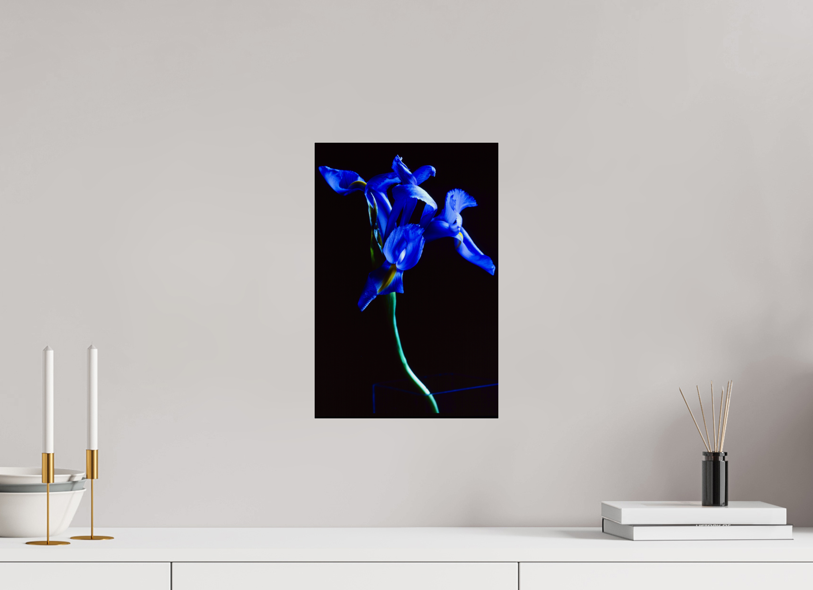 10 x 15″, Photo Print Under Acrylic Glass Blue Iris single