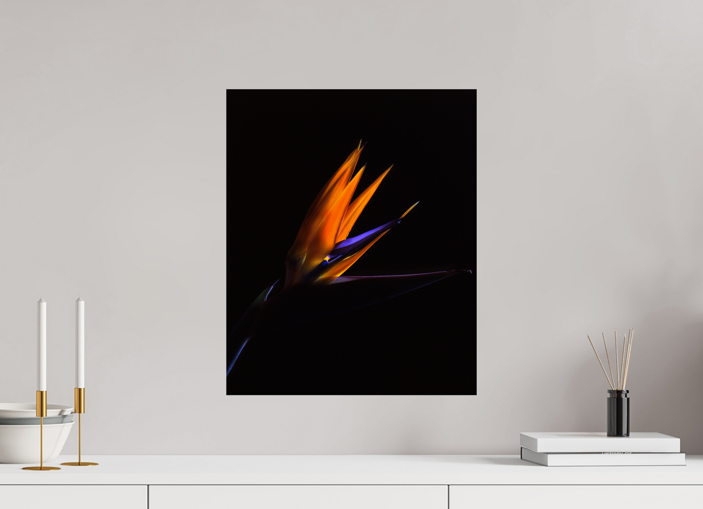 16 x 19.6″, Photo Print On Fuji Crystal DP II Bird of Paradise