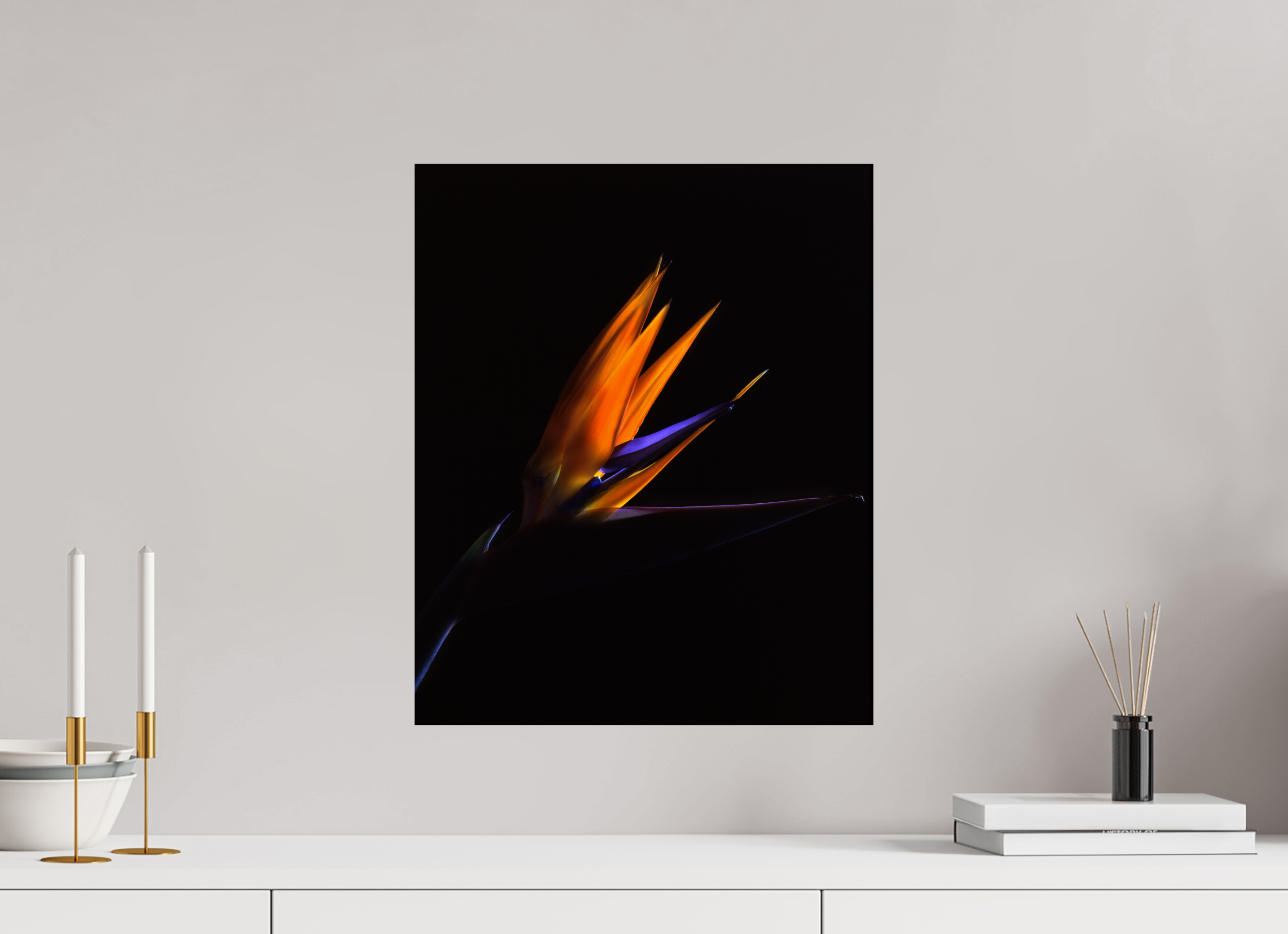 16 x 19.6″, Photo Print On Fuji Crystal DP II Bird of Paradise