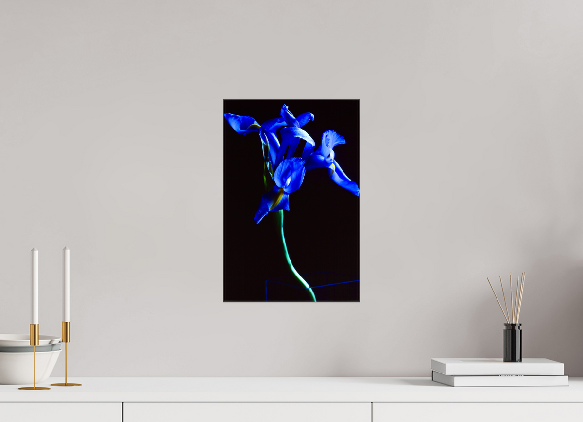 10 x 15″, Canvas Blue Iris single