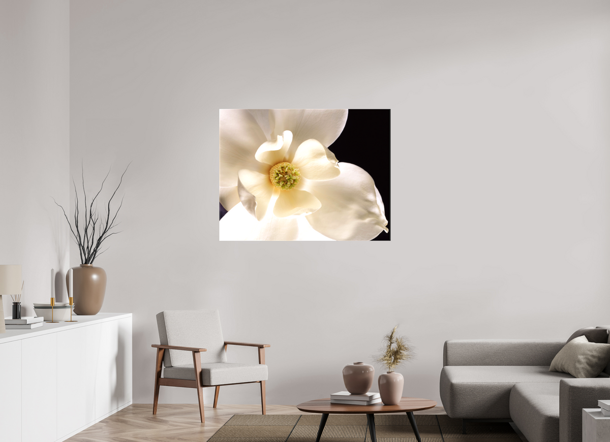 45.6 x 35″, Canvas Magnolia