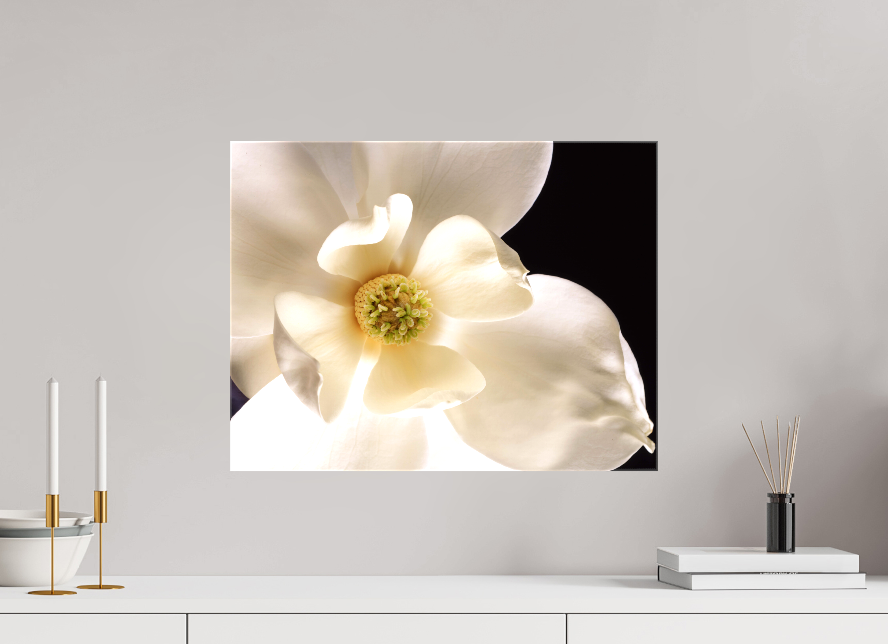20.8 x 16″, Canvas Magnolia