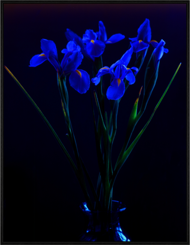 Main image Blue