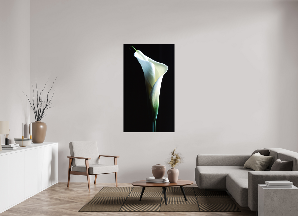 35 x 60.9″, Canvas Calla Lilly