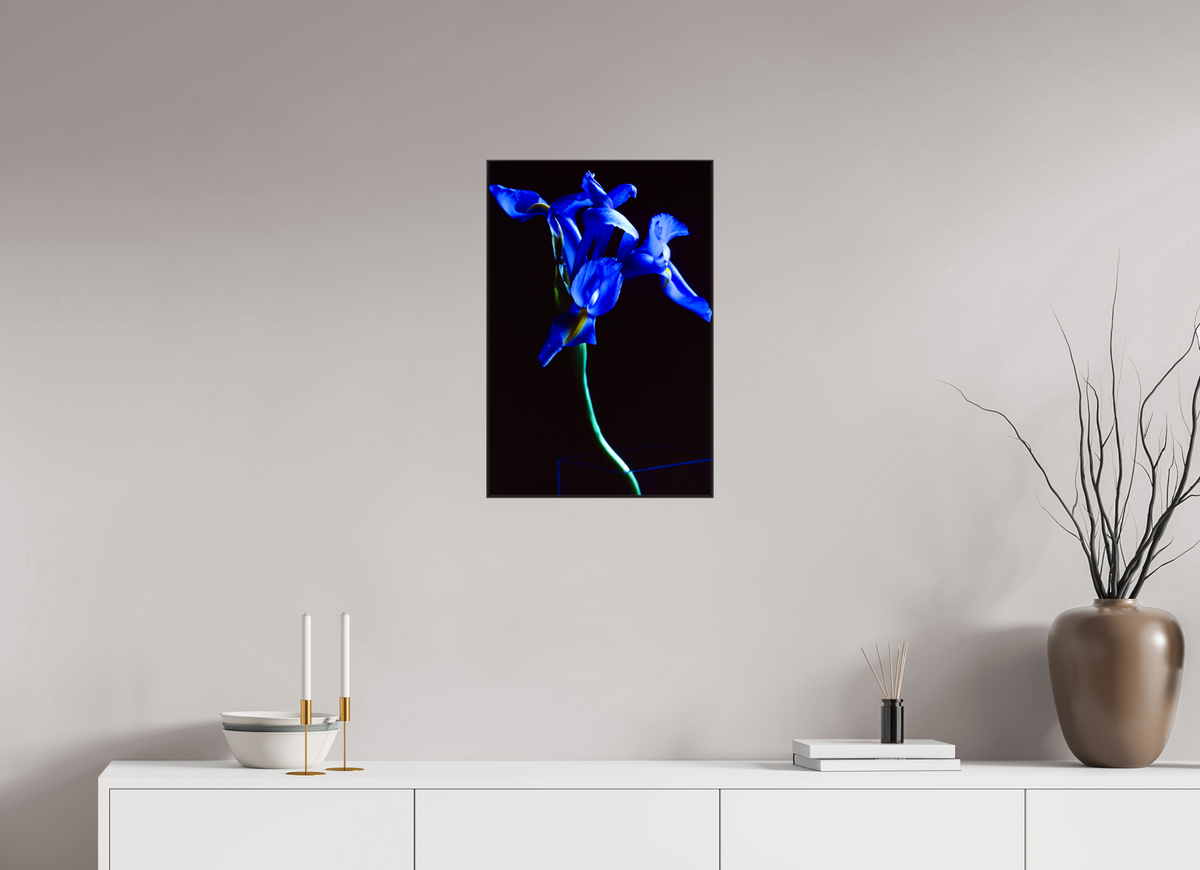 16 x 24″, Canvas Blue Iris single