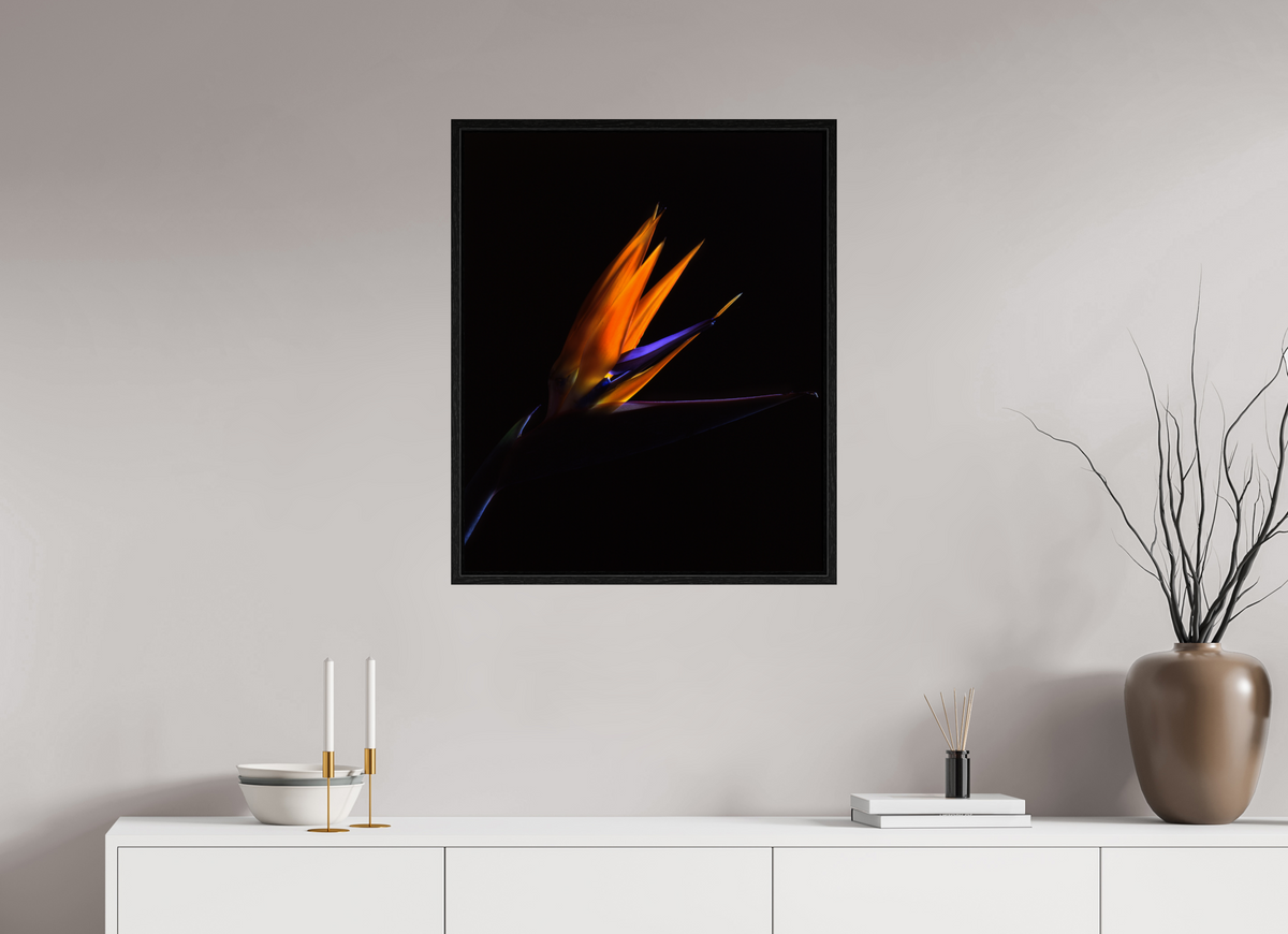 24 x 29.3″, Floater Frame Bird of Paradise