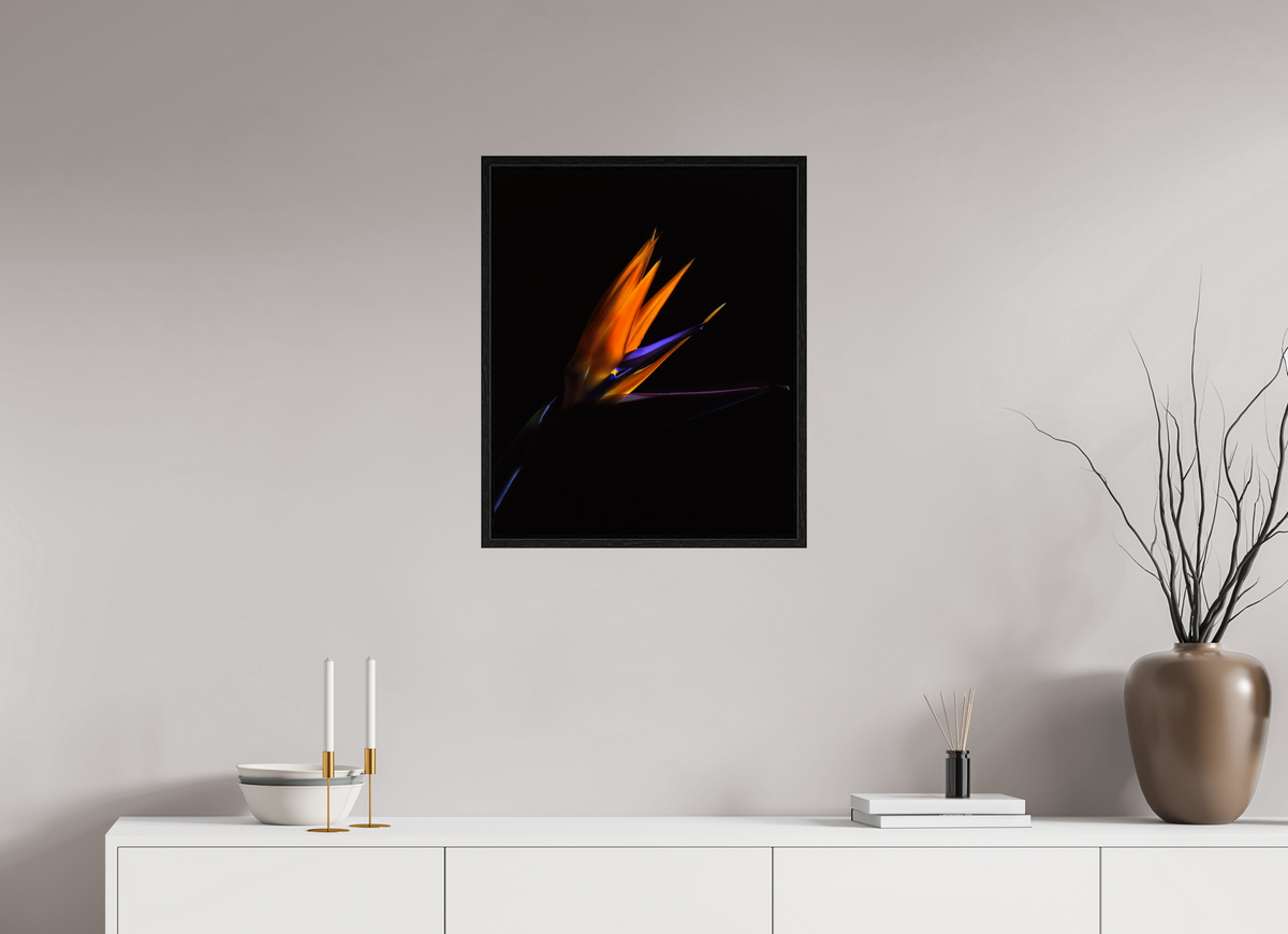 20 x 24.4″, Floater Frame Bird of Paradise