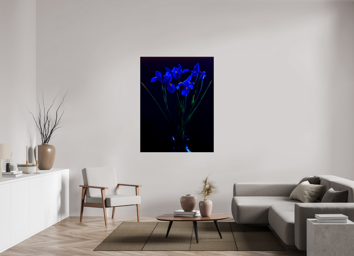 43 x 56″, Photo Print Under Acrylic Glass Blue