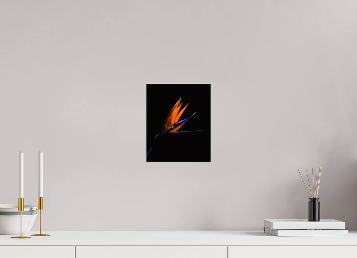 8 x 9.8″, Photo Print Under Acrylic Glass Bird of Paradise