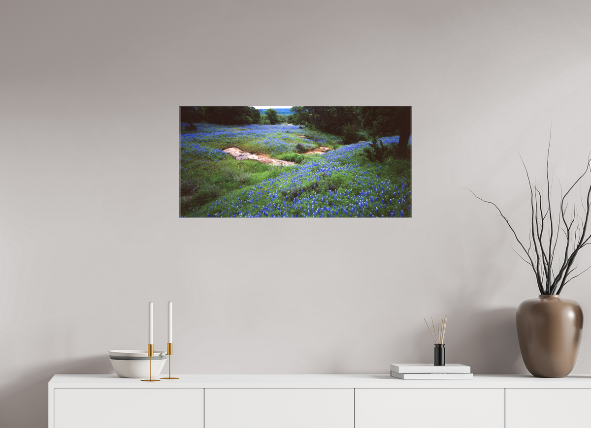 33.7 x 16″, Canvas Bluebonnet Field