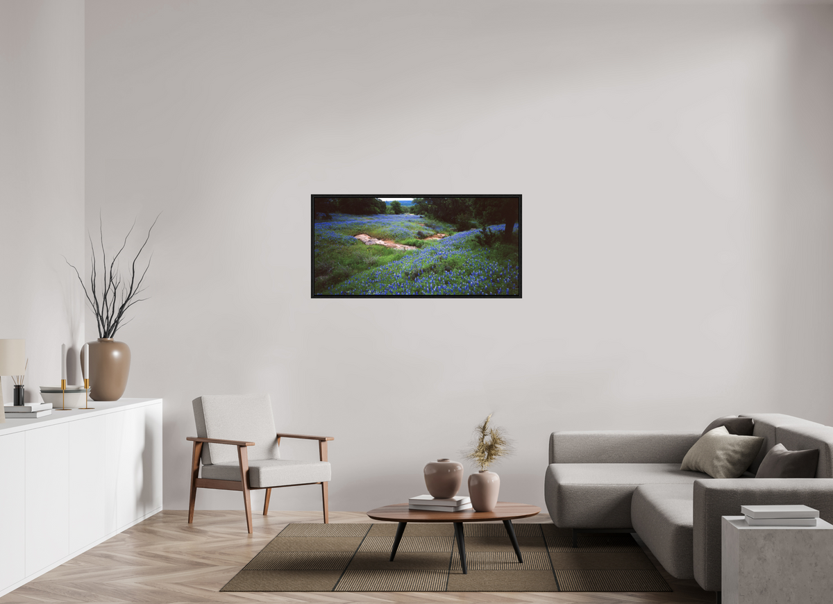 50.5 x 24″, Floater Frame Bluebonnet Field