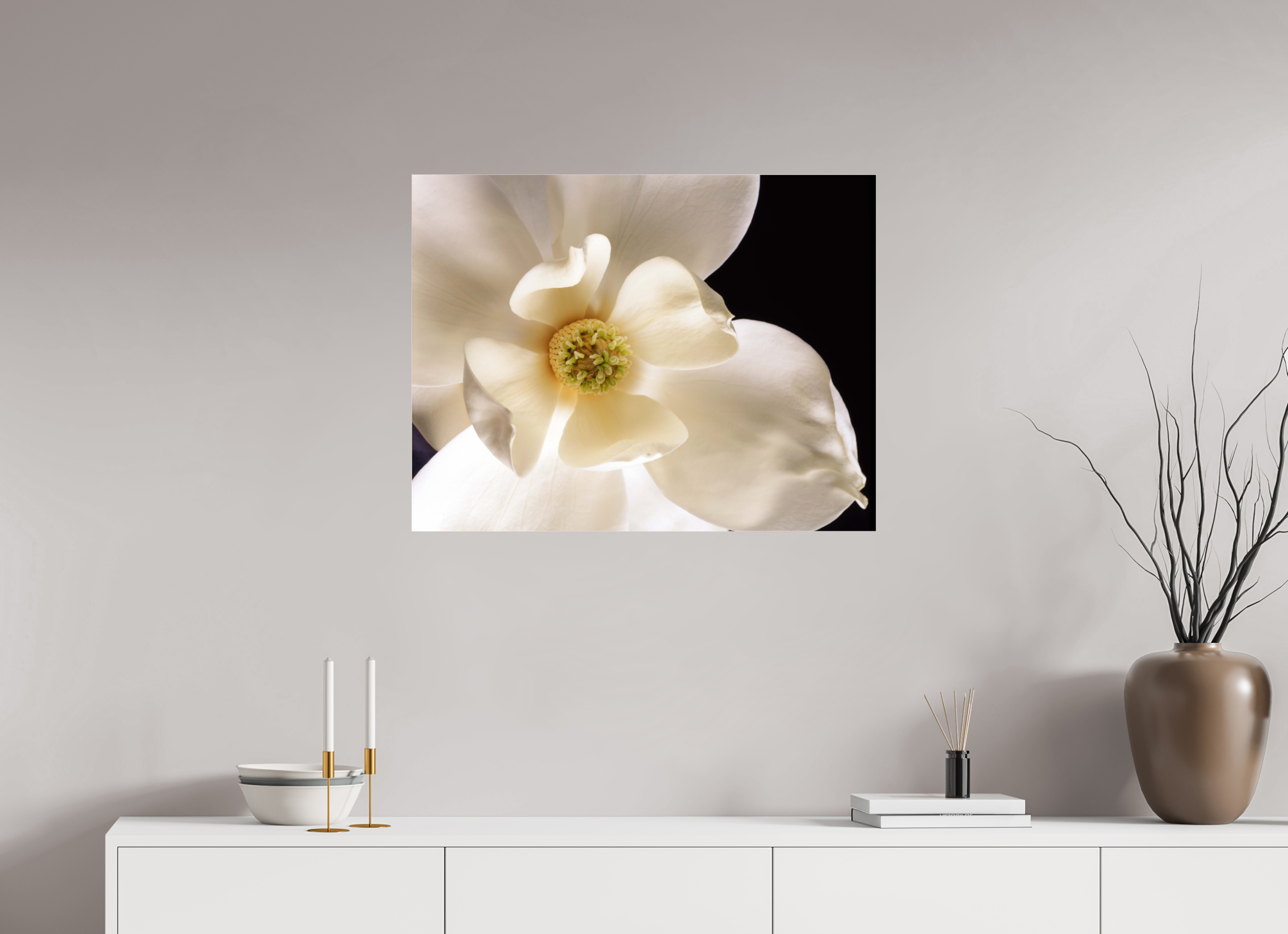 31.3 x 24″, Photo Print Under Acrylic Glass Magnolia
