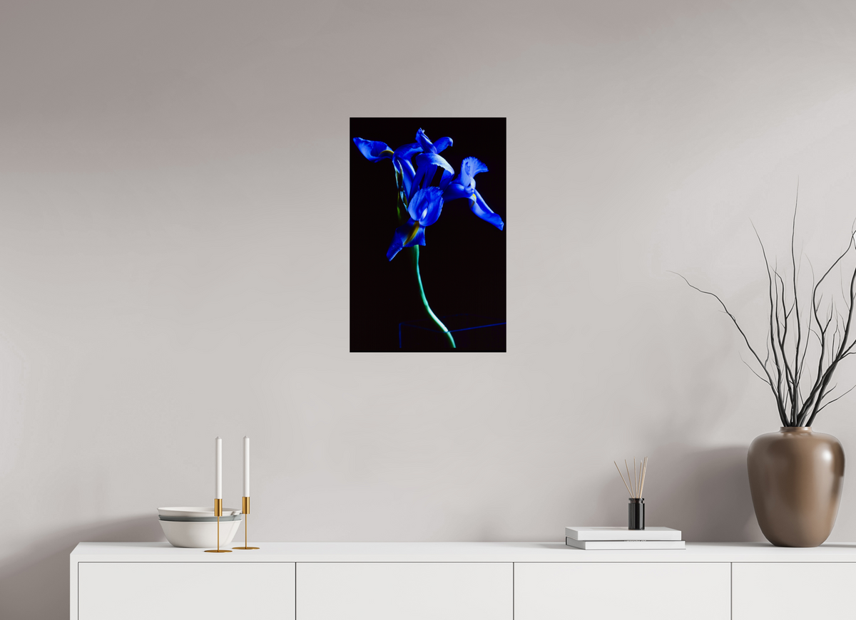 16 x 24″, Photo Print On Fuji Crystal DP II Blue Iris single