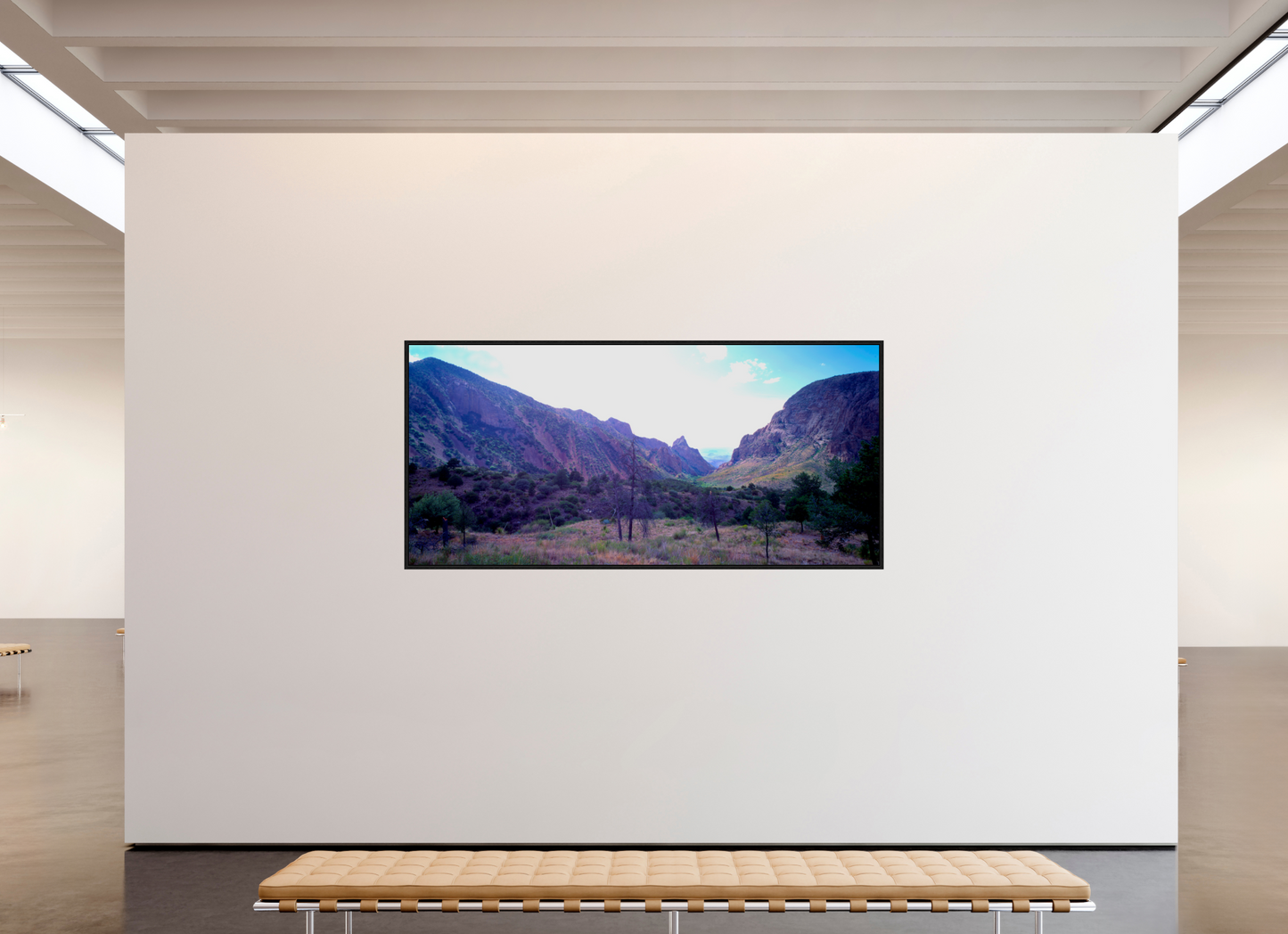 91.9 x 43″, Floater Frame The window Big Bend national park