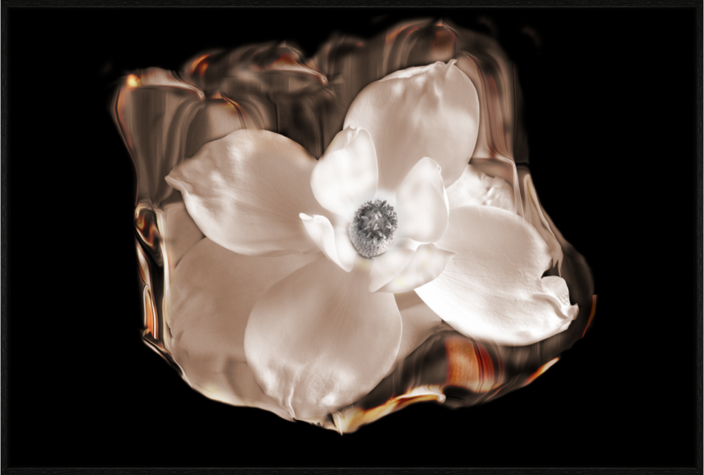 Main image Magnolia Selenium