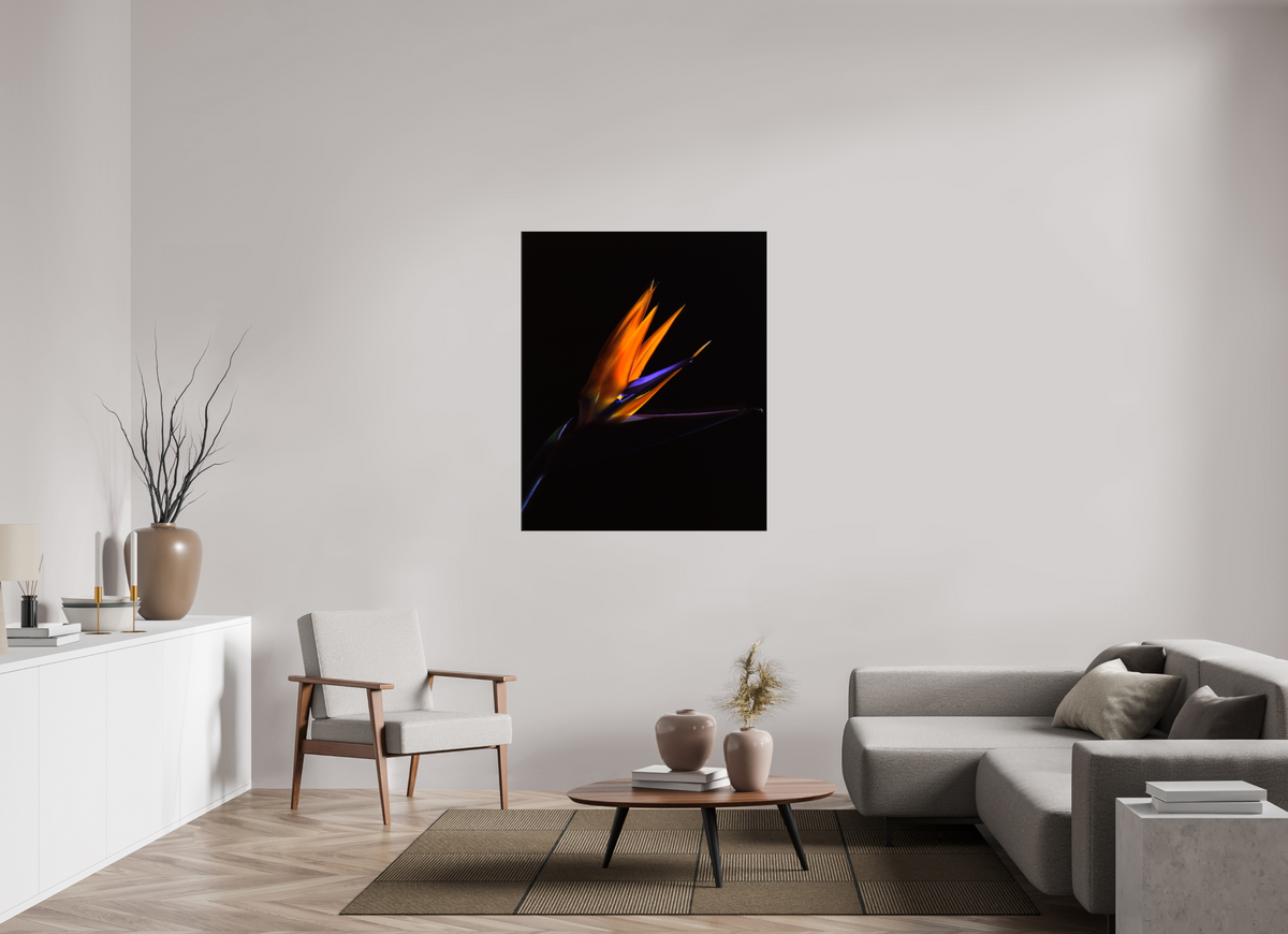 39 x 47.7″, Canvas Bird of Paradise