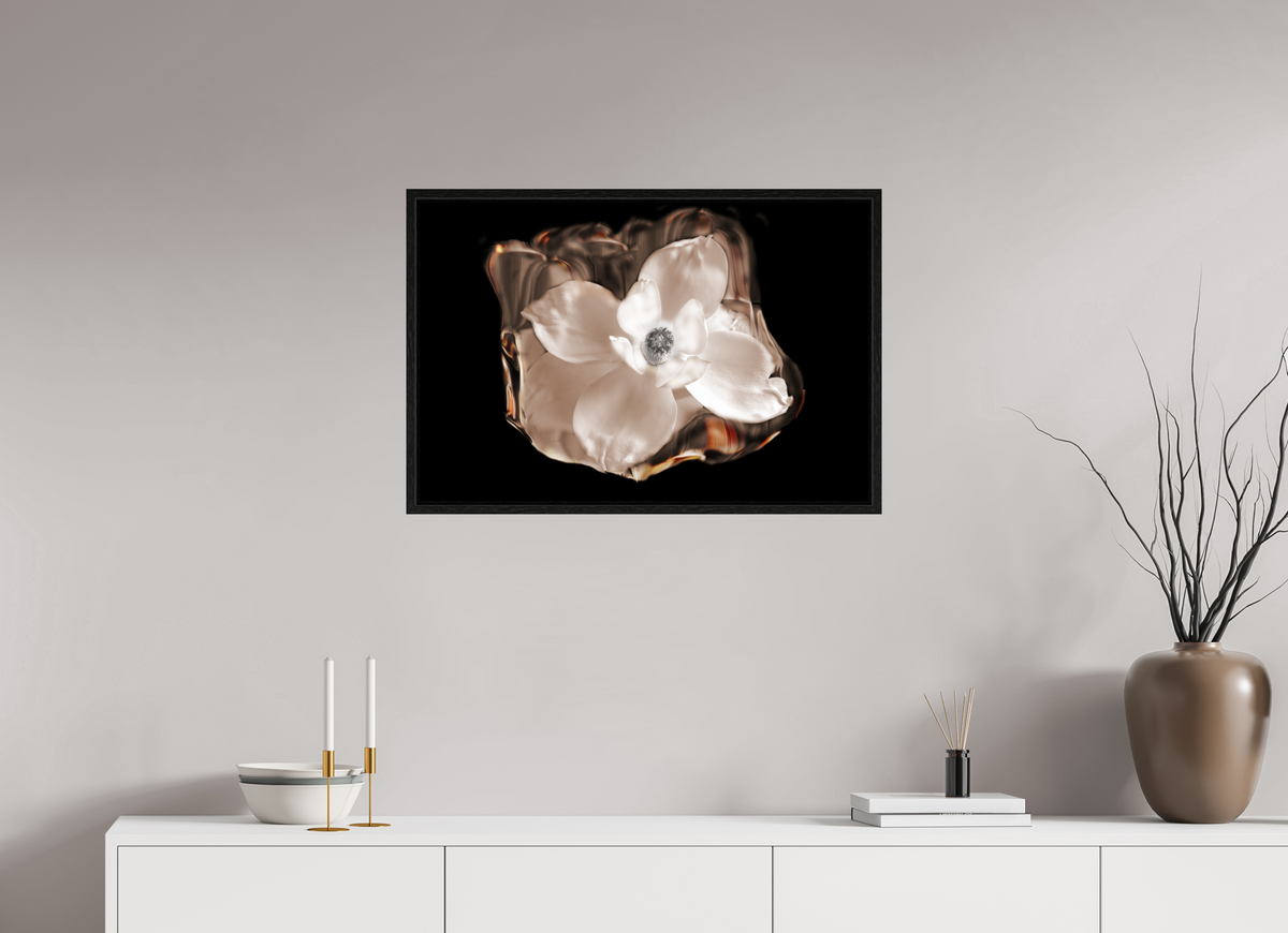30 x 20″, Floater Frame Magnolia Selenium