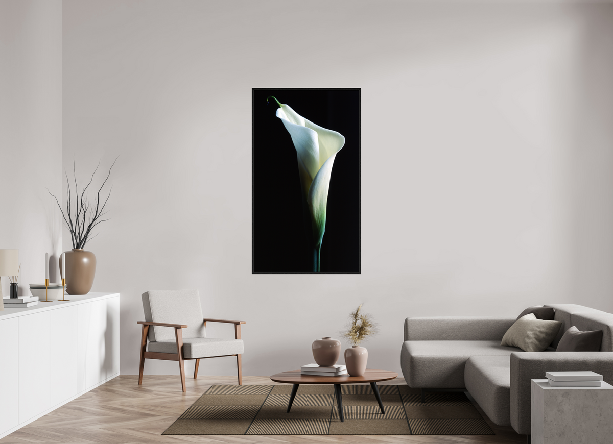 35 x 60.9″, Floater Frame Calla Lilly