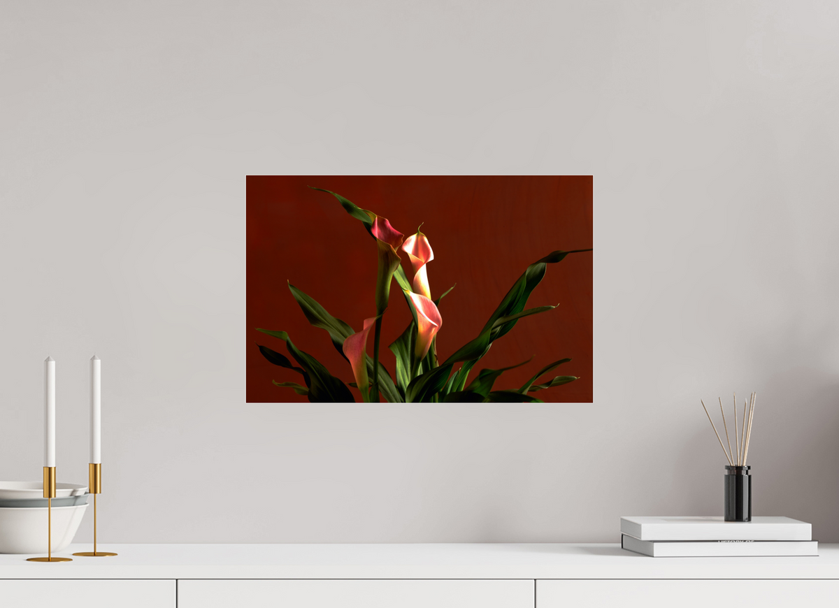 18.3 x 12″, Photo Print Under Acrylic Glass A study in Peach
