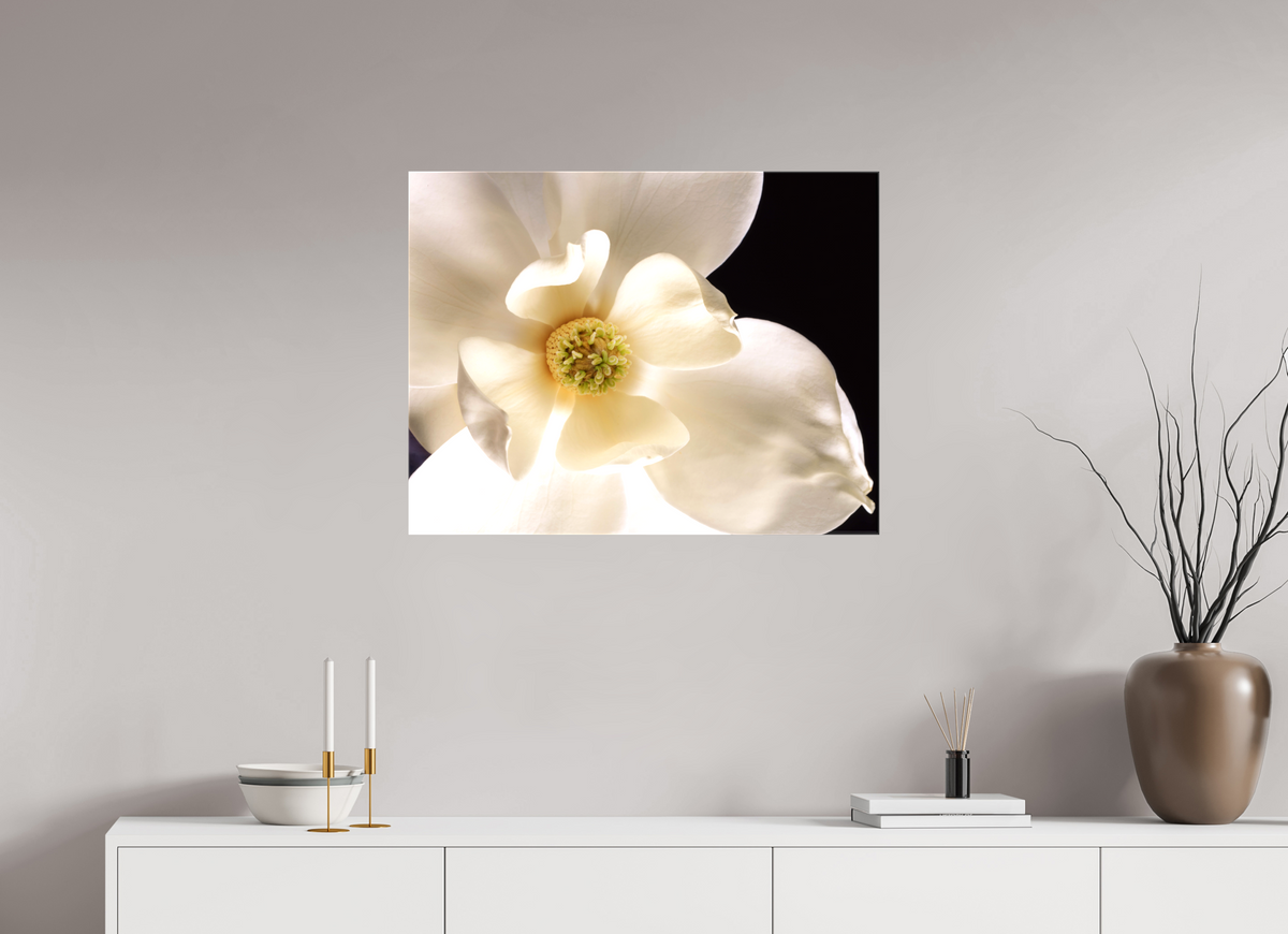 31.3 x 24″, Canvas Magnolia